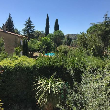En Buena Hora Villa Saze  Bagian luar foto